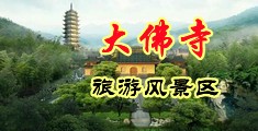 哦骚逼痒,操我视频中国浙江-新昌大佛寺旅游风景区